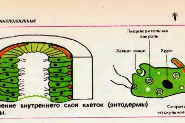 Скрытый интернет как войти