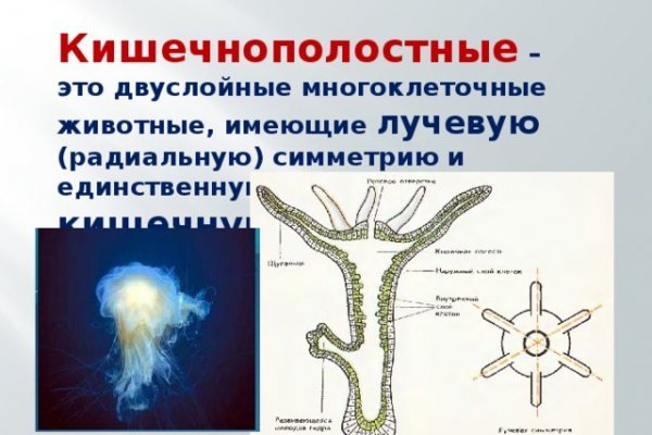 Зайти на кракен