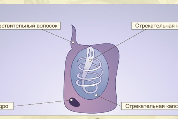 Сайт кракен что это такое