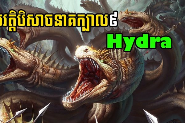 Kraken зеркало даркнет