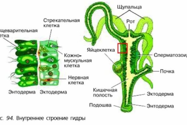 Как зайти на маркетплейс кракен