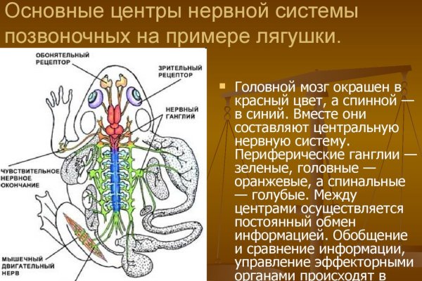 Через какой браузер зайти на кракен