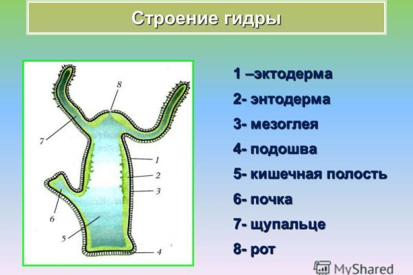 Кракен 18ат